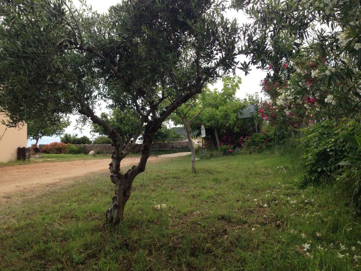 Kioni Villas Frangokastello Dış mekan fotoğraf